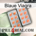 Blaue Viagra 27